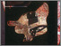 [thumbnail of Obfuscation Series]