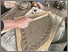[thumbnail of Community tile making workshop - using hand made stamps to create a pattern]
