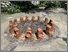 [thumbnail of handmade bricks installed in the herb bed, creating a herb wheel]