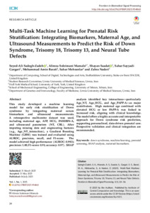 Multi-Task Machine Learning for Prenatal Risk Stratification ...