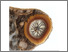 [thumbnail of thesis submitted in partial fulfilment of the requirement of the University of Staffordshire for the degree of Doctor of Philosophy]